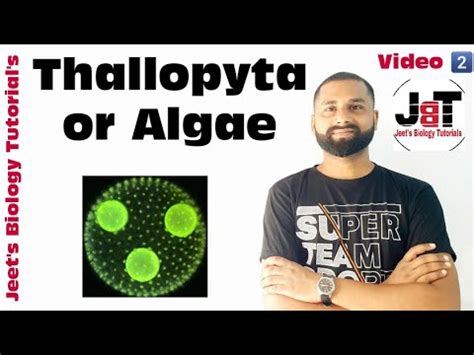 Thallophyta-Algae - YouTube