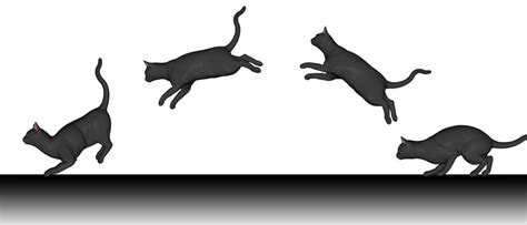 Cat Jumping by majanz on DeviantArt