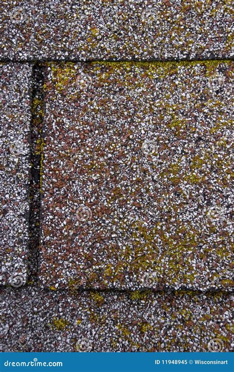 Mold/Moss Damage on House Roof Shingles Stock Image - Image of rots ...