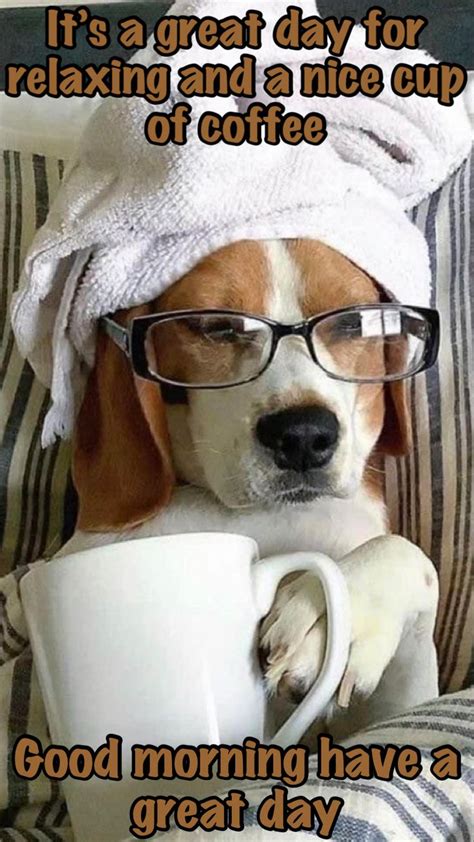 Funny Good Morning Quotes with a Dog in Glasses