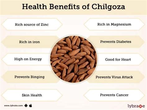 Health Benefits of Chilgoza (Pine Nuts) | Nut benefits, Pine nuts ...