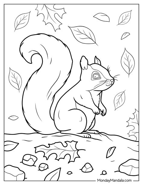 20 Squirrel Coloring Pages (Free PDF Printables)