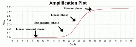 9 Schematic diagram of Phases in the general PCR amplification curve. * | Download Scientific ...