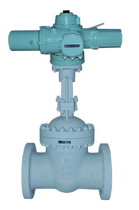 Motor Operated Gate Valves (MOVs) – Fevisa