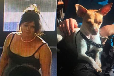 Woman arrested for stealing dog from man having seizure, cops say