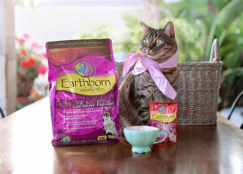 Everything to Know About Cat Kibble | Earthborn Holistic Pet Food