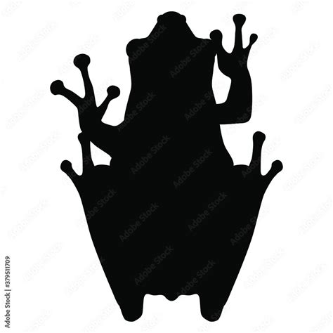 Silhouette of tropical frog. Top view. Poison dart frog. Stock Vector | Adobe Stock