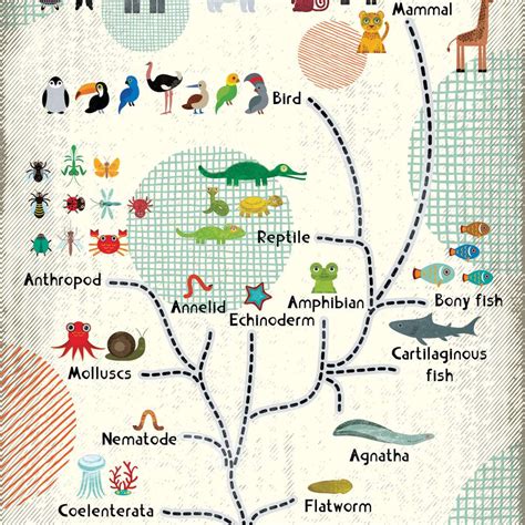 Evolutionary Biology Chart Wall Art | Digital Art