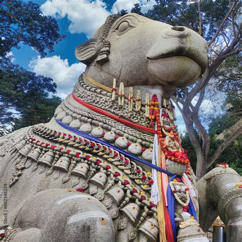 Large Nandi bull statue at Chamundi hills in Mysore Stock Photo | Adobe Stock