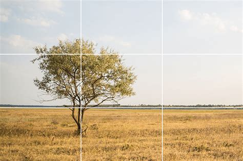 Rule Of Thirds Examples Before And After