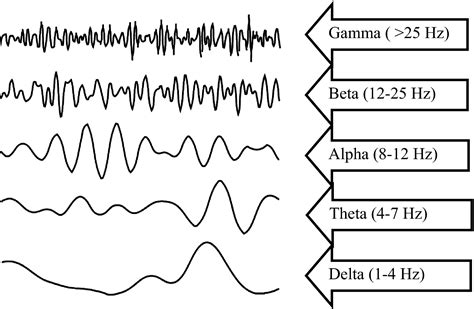 Eeg Waveforms