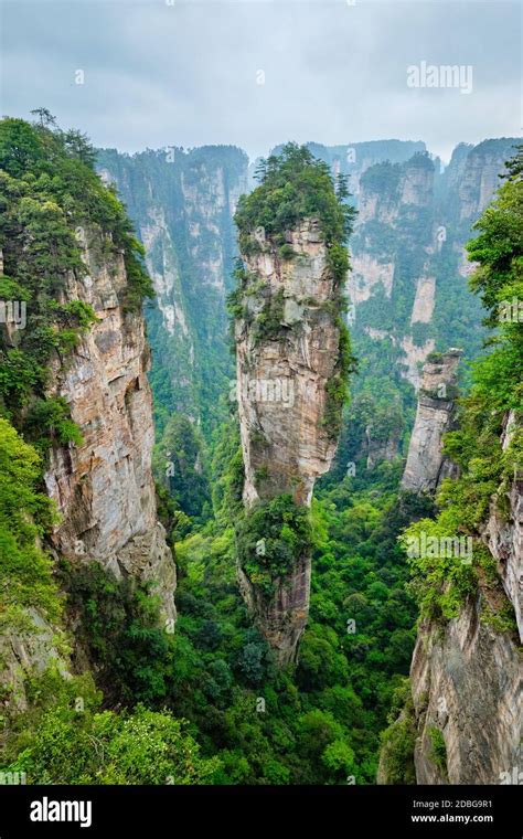 Famous tourist attraction of China - Avatar Hallelujah Mountain in ...