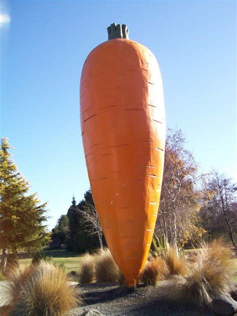 The Big Carrot, Ohakune, New Zealand | The big carrot, Roadside ...