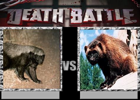 Deathbattle163: Honey Badger vs Wolverine by Mr-Wolfman-Thomas on ...