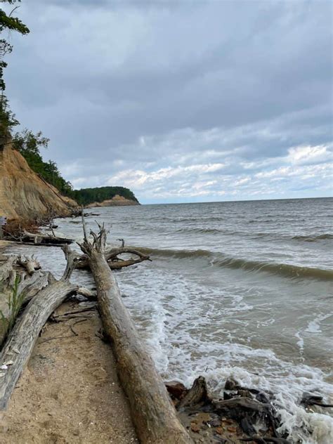 State Park Spotlight: Calvert Cliffs State Park - The Road Goes On Forever