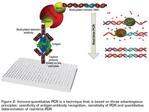 Use of molecular techniques in the food industry - New Food Magazine