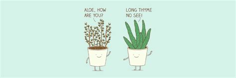 100 Plant Puns and Jokes That'll Plant a Smile On Your Face - Redbubble ...