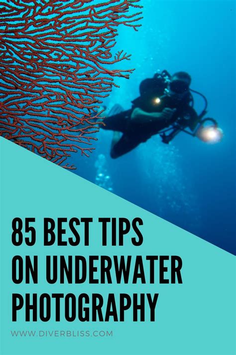 Underwater Photography Tips for Beginners: Take better pictures while scuba diving! This post is ...