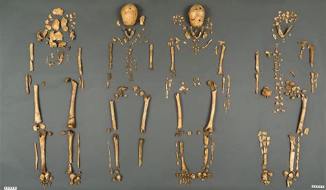 Bones In Church Ruins Likely The Remains Of Early Jamestown's Elite : NPR