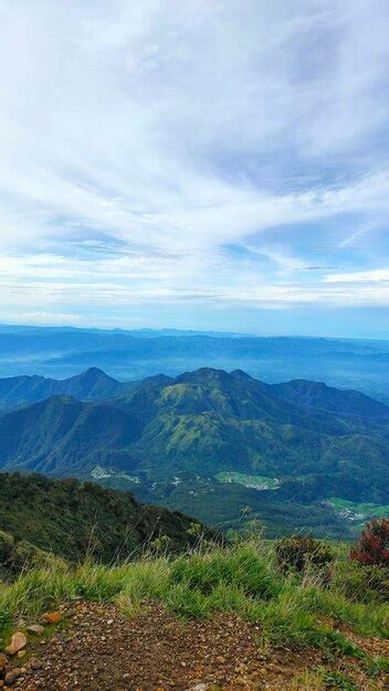 Premium Photo | Tea crop at gunung lawu