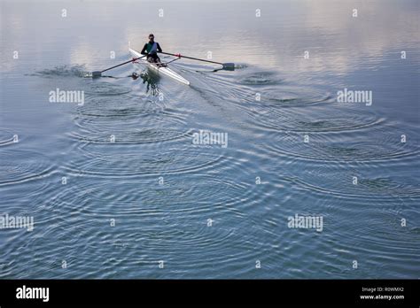 Single scull rowing competitor, rowing race one rower Stock Photo - Alamy