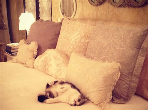 Taylor Swift’s Bedroom: Take a Look Inside | StyleCaster