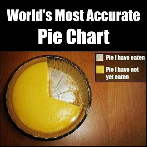 Pie Chart | Funny pie charts, Bones funny, Math humor