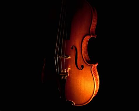 🔥 [40+] Black Violin Wallpapers | WallpaperSafari