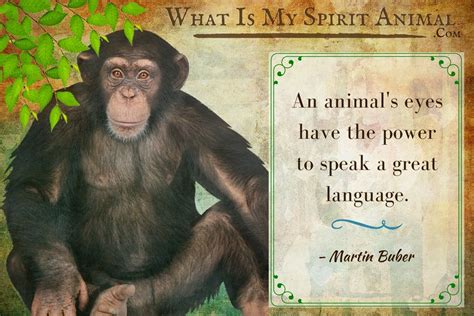 Monkey Quotes & Sayings - What Is My Spirit Animal | Spirit, Totem, & Power Animals