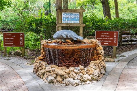 Ellie Schiller Homosassa Springs Wildlife State Park