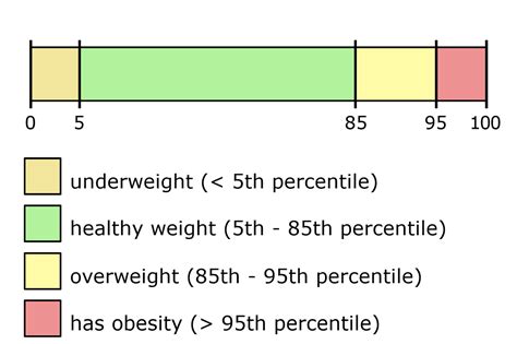 Child & Teen BMI Calculator - Inch Calculator