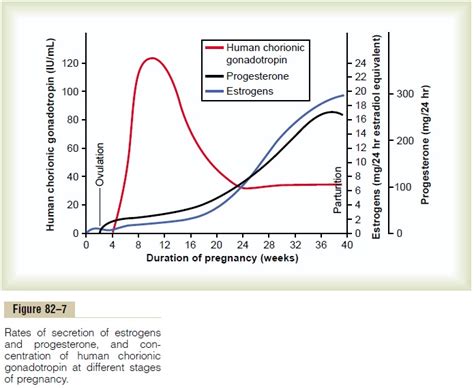 Hormonal Factors in Pregnancy