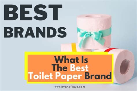 What Is The Best Toilet Paper Brand (You Should Buy!)