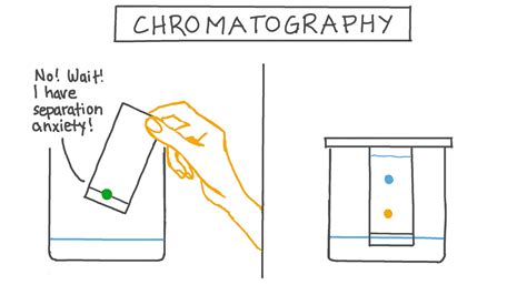 What Is Paper Chromatography