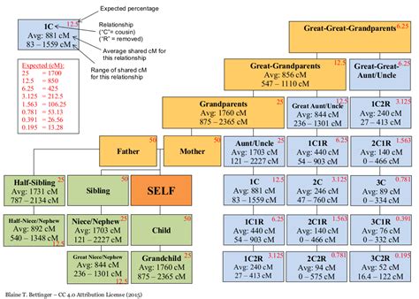 File:Shared-cM-Relationship-Tree.jpg - Wikimedia Commons