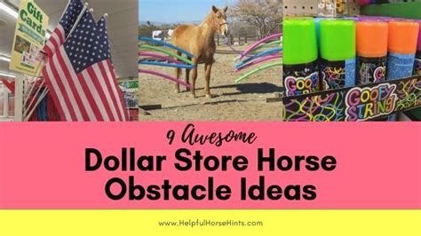 9 Awesome Dollar Store Horse Obstacle Ideas - Helpful Horse Hints