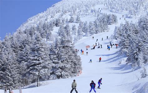 Zao (Yamagata) | Yamagata Attractions | Travel Japan | JNTO