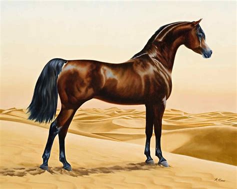 "Arabian Horse - William Barraud" Art Prints by BravuraMedia | Redbubble