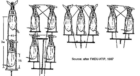 Harnessing and Implements for Animal Traction: 3. Common harnessing ...