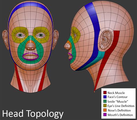 Retoplogy head tutorial - Tutorials, Tips and Tricks - Blender Artists Community