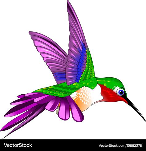 Hummingbird Royalty Free Vector Image - VectorStock