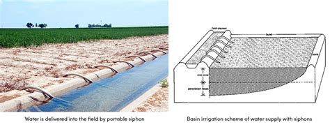 Can Surface Irrigation Be Both Low-Cost and Efficient? - AGRIVI