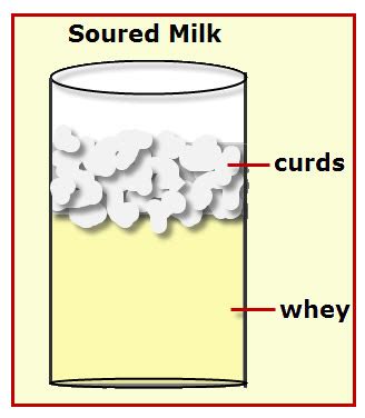 Milk Proteins: Casein and Whey - VanCleave's Science Fun