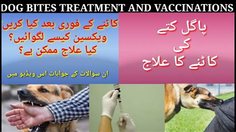 DOG BITES TREATMENT/پاگل کتے کے کاٹنے کا علاج - YouTube