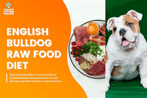 English Bulldog Raw Dog Food Diet Guide: Recipes, Benefits & FAQs ...