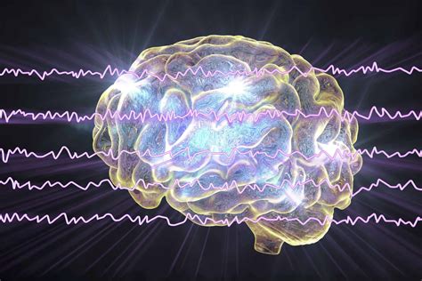 Delta Brainwave Entrainment Meditation To Fall Asleep Fast | Brain waves, Science illustration ...