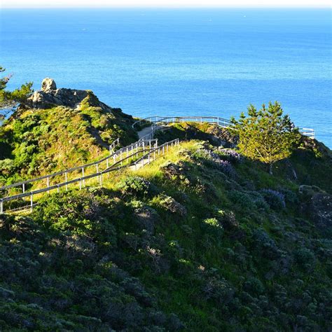 MUIR BEACH OVERLOOK (2024) All You Need to Know BEFORE You Go (with Photos)