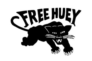 Free Huey Black Panthers flag African American Flag, Black Power Fist, Trill Art, Black Panther ...