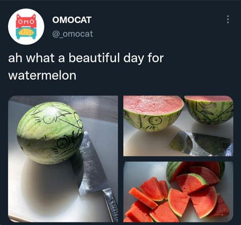 Omocat bullying watermelon boy once again. : r/OMORI