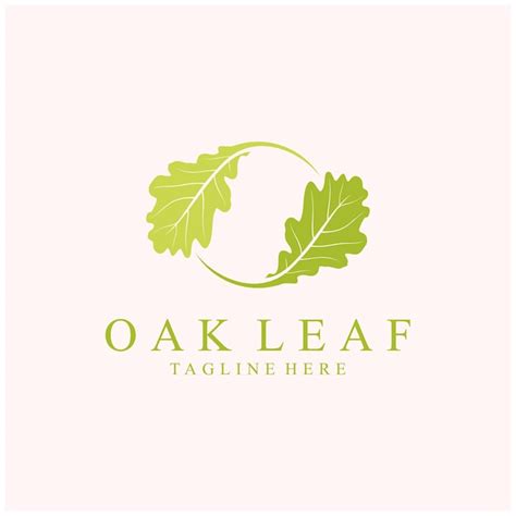 Premium Vector | Oak leaf logo design